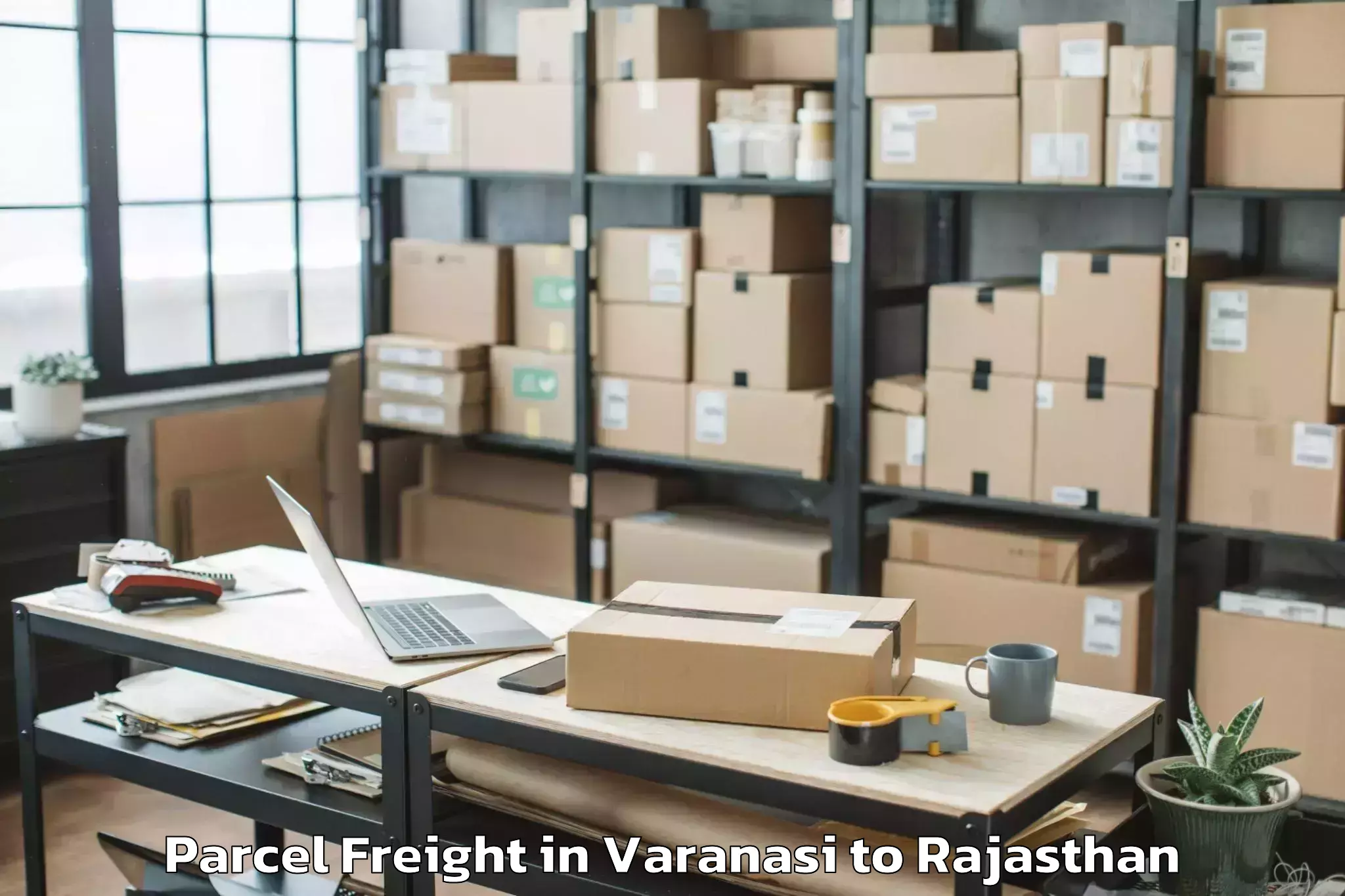 Professional Varanasi to Central University Of Rajastha Parcel Freight